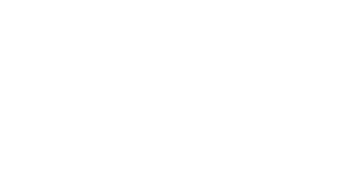 pintra logo
